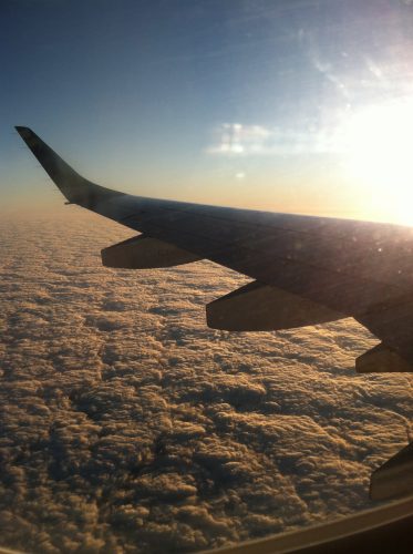 what to do when your flight is cancelled