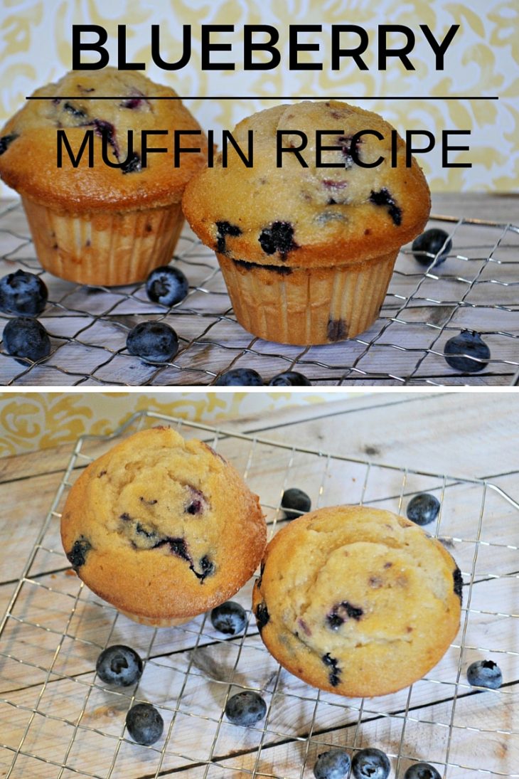 BLUEBERRY MUFFIN (2)