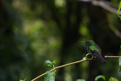 Costa Rica