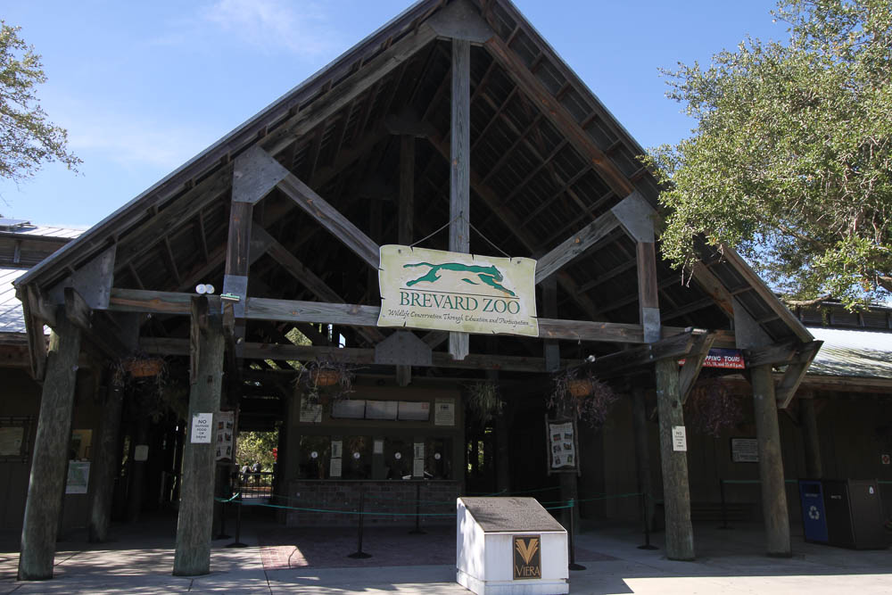 A Fun Visit To The Brevard Zoo FLBlogTrip Just Short of Crazy