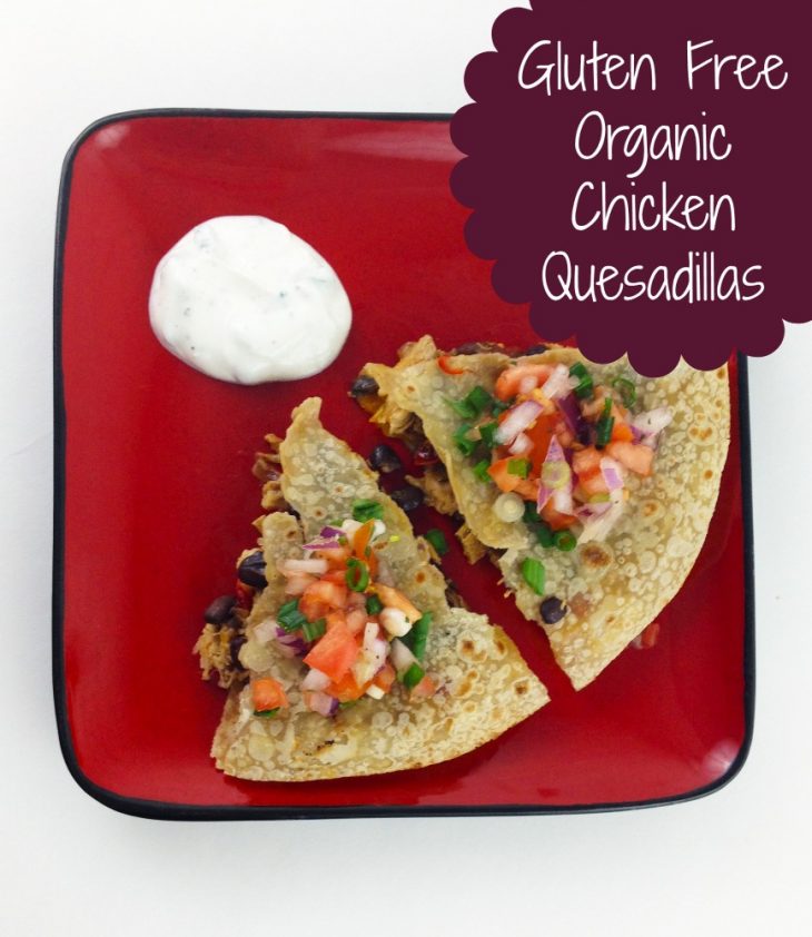 Gluten Free Organic Chicken Quesadillas Just Short of Crazy
