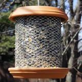 Easy to make bird feeder for your feathered friends