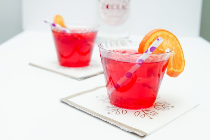 Berry Vodka Cocktail