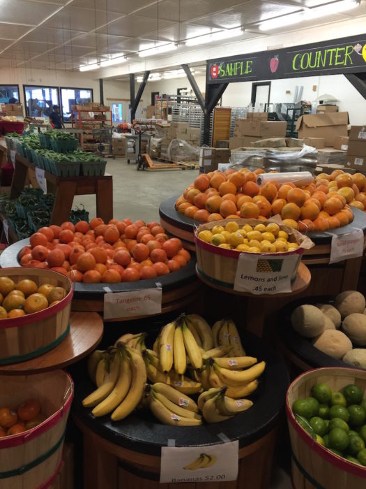 Delight your taste buds at the largest apple orchard in Just