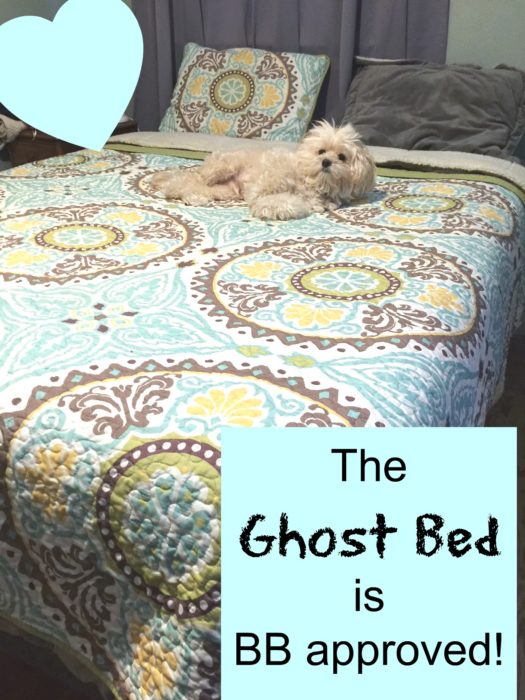 Ghost Bed foam mattress