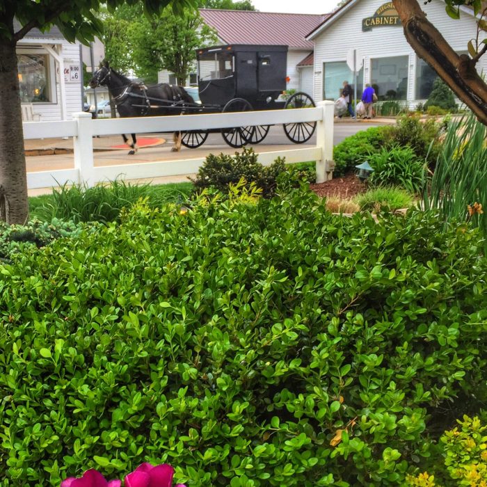 shipshewana Indiana food tour