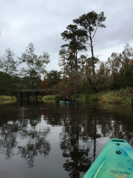 Louisiana Coast