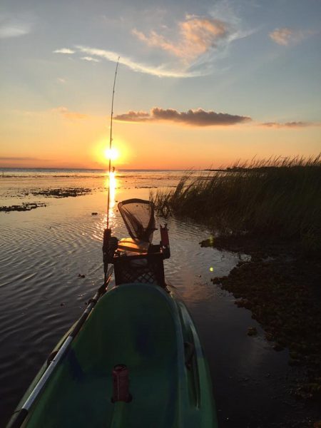 Louisiana Coast