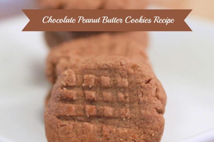 whey chocolate peanut butter cookies