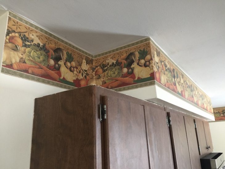 kitchen remodel