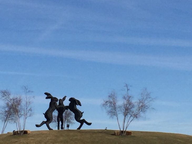 dancing hares dublin oh