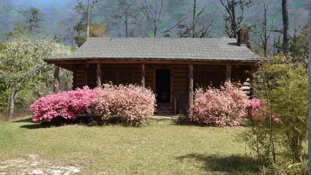 Caroline Dormon Cabin