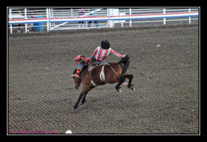 cody rodeo