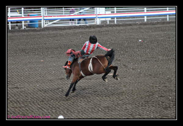 Giddy Up and Get On Over to the Cody Rodeo