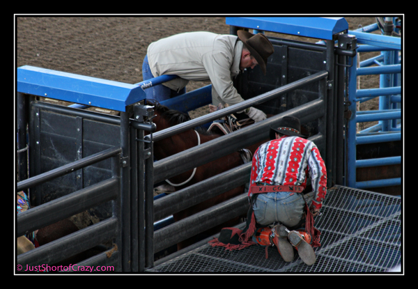 Cody Rodeo cowboys working at the rodeo chutes
