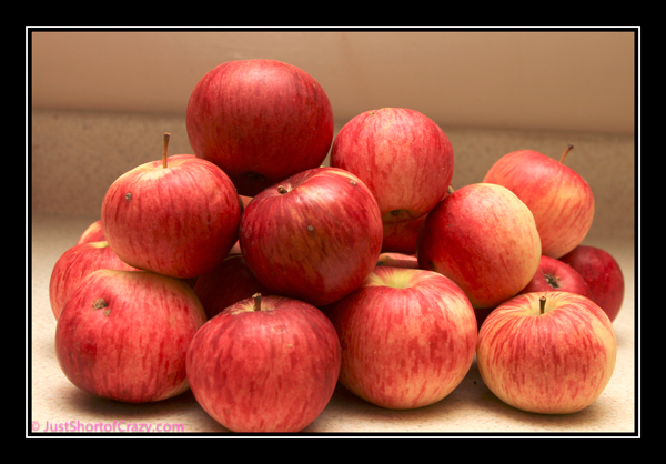 This Easy Homemade Applesauce Only Uses 2 Ingredients