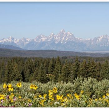 Grand Tetons