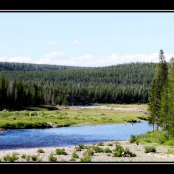 yellowstone