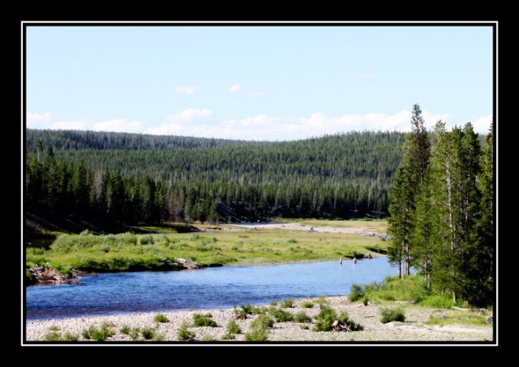River flowing through Yellowstone National Park