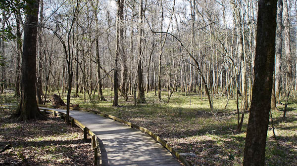 CONGAREE NATIONAL PARK