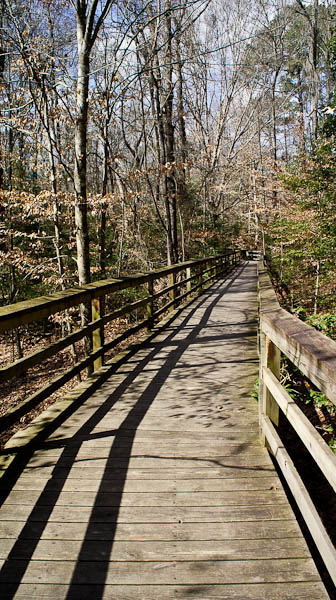 congaree national park