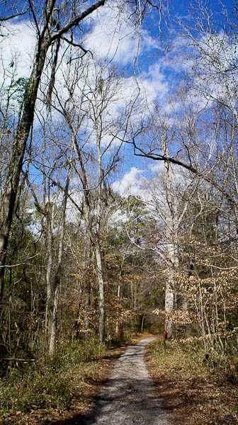 congaree national park