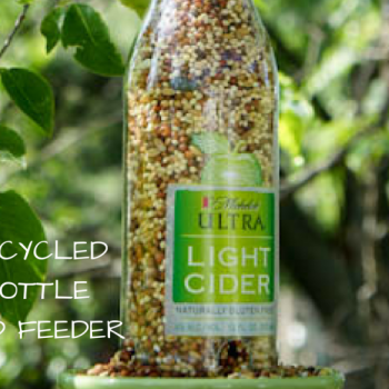 Recycled Bird Feeder