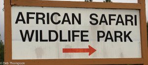 Drive Through This African Safari Park Near Sandusky For An Epic Adventure