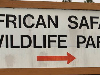 African Safari Wildlife park ohio
