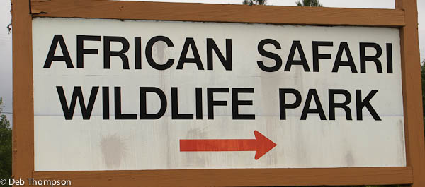 African Safari Wildlife park ohio