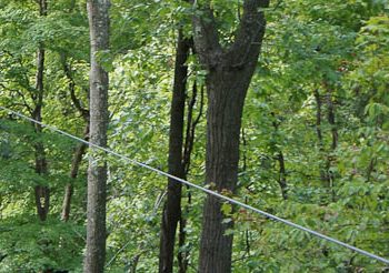 Grafton Ziplining Adventures