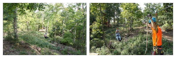 grafton zip lining
