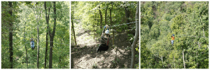 grafton zip adventure