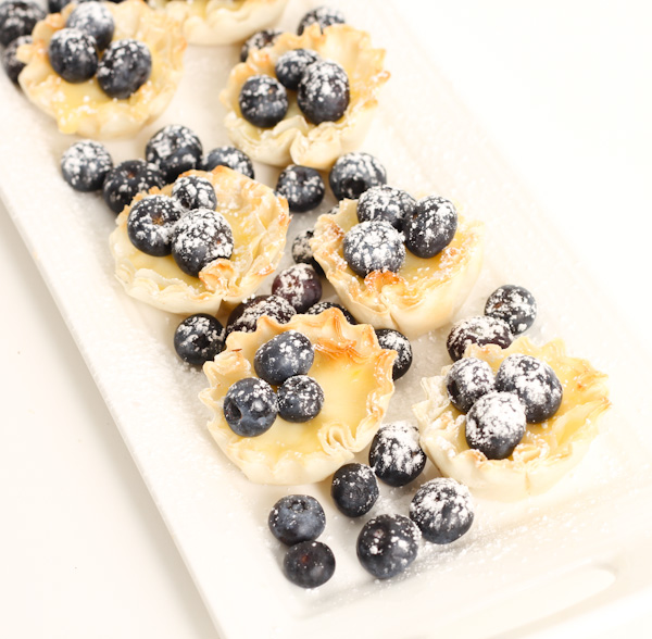 Lemon Blueberry Spring Treats