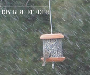 Bird Feeder DIY Craft