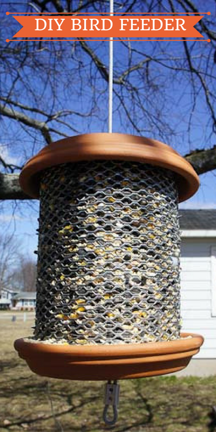 DIY BIRD FEEDER