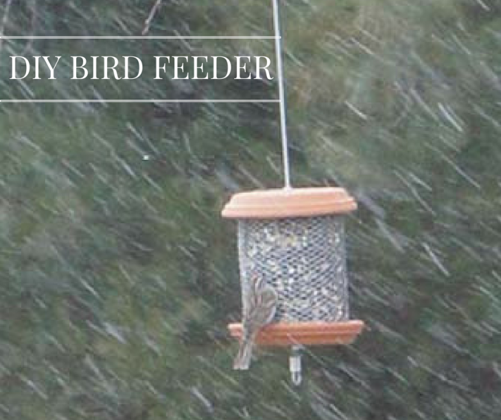 DIY Bird Feeder