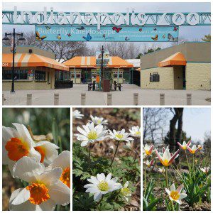 Indianapolis Zoo | Travel With Teens