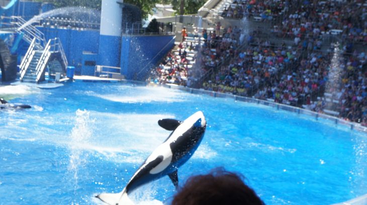 Site de rencontre de femme malgache