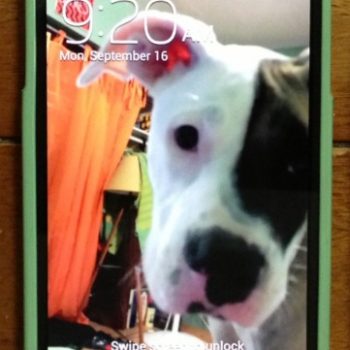 Samsung Galaxy S4