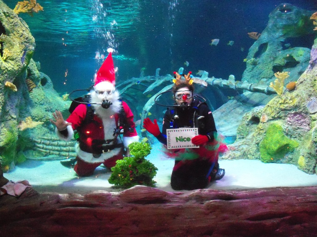 Scuba Santa at SEA LIFE Grapevine_ Aquarium