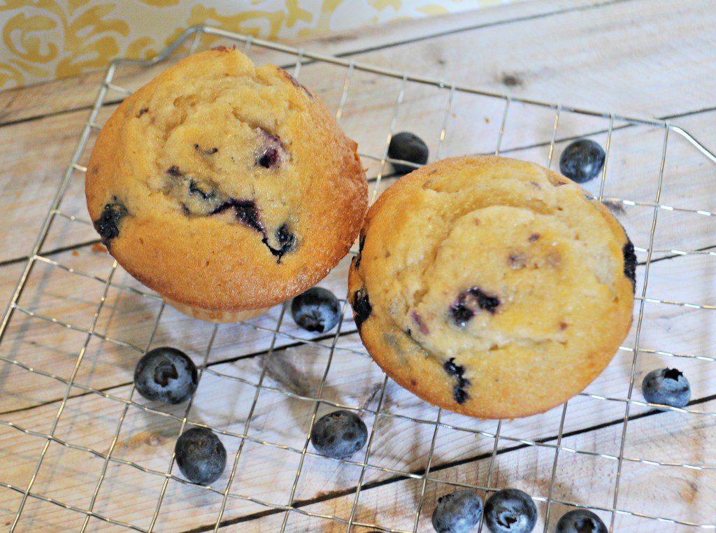 blueberry muffins