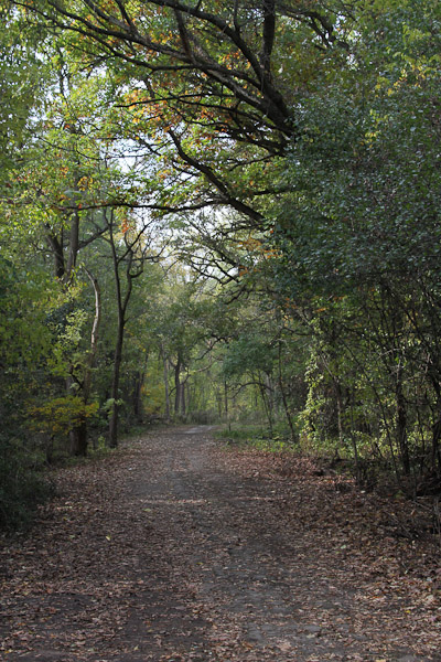 hiking trails