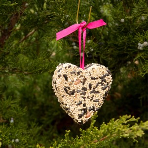 Easy To Make Birdseed Cake Craft