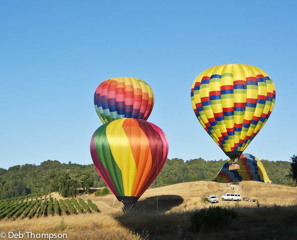 5 Family Fun Attractions in Albuquerque - Just Short of Crazy