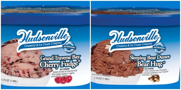 hudsonville ice cream