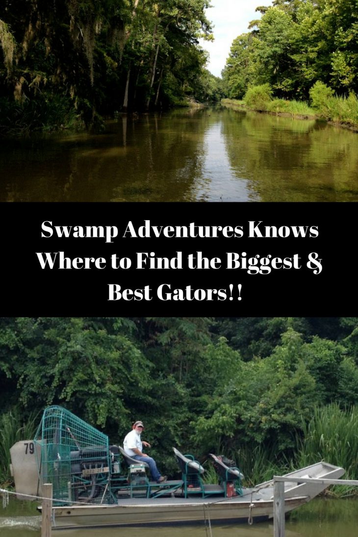 Swamp tours louisiana