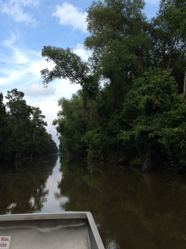 Swamp Tour Louisiana