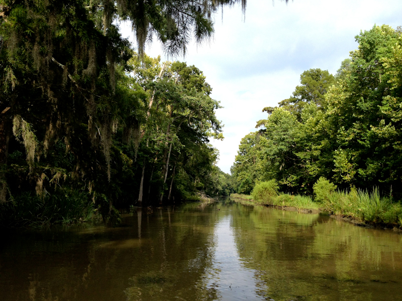 Swamp Tour Louisiana