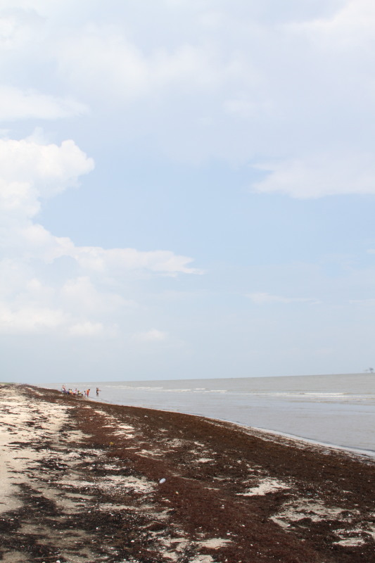 Creole Trail Beaches